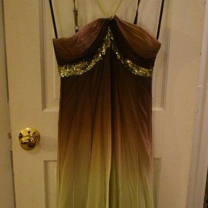 BCBG Green Ombre Silk Prom Homecoming Flowing Dress